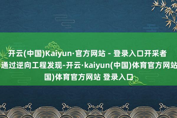 开云(中国)Kaiyun·官方网站 - 登录入口开采者 Netskao 通过逆向工程发现-开云·kaiyun(中国)体育官方网站 登录入口