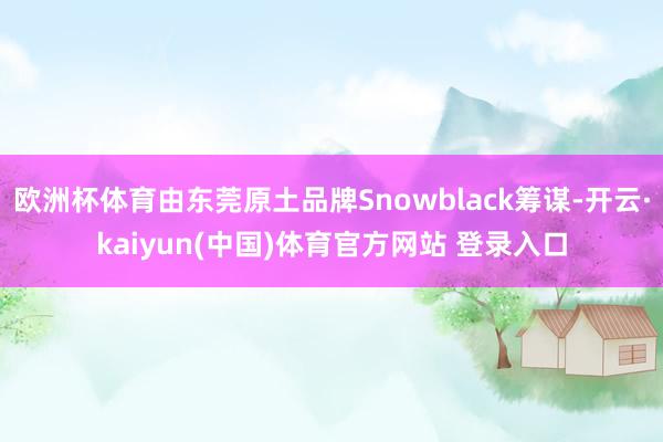 欧洲杯体育由东莞原土品牌Snowblack筹谋-开云·kaiyun(中国)体育官方网站 登录入口