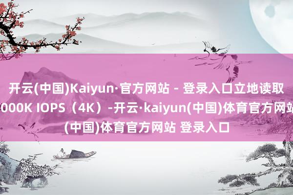 开云(中国)Kaiyun·官方网站 - 登录入口立地读取性能达到3000K IOPS（4K）-开云·kaiyun(中国)体育官方网站 登录入口