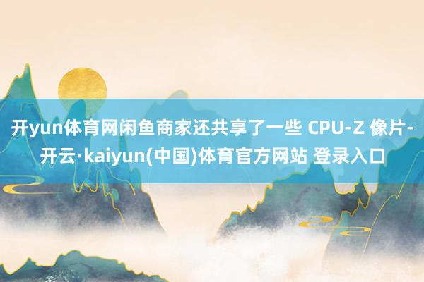 开yun体育网闲鱼商家还共享了一些 CPU-Z 像片-开云·kaiyun(中国)体育官方网站 登录入口