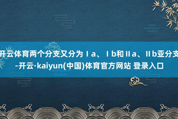 开云体育两个分支又分为Ⅰa、Ⅰb和Ⅱa、Ⅱb亚分支-开云·kaiyun(中国)体育官方网站 登录入口