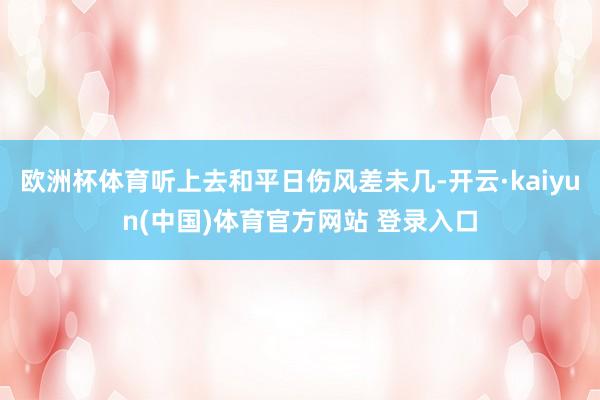 欧洲杯体育听上去和平日伤风差未几-开云·kaiyun(中国)体育官方网站 登录入口
