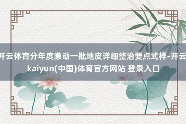 开云体育分年度激动一批地皮详细整治要点式样-开云·kaiyun(中国)体育官方网站 登录入口