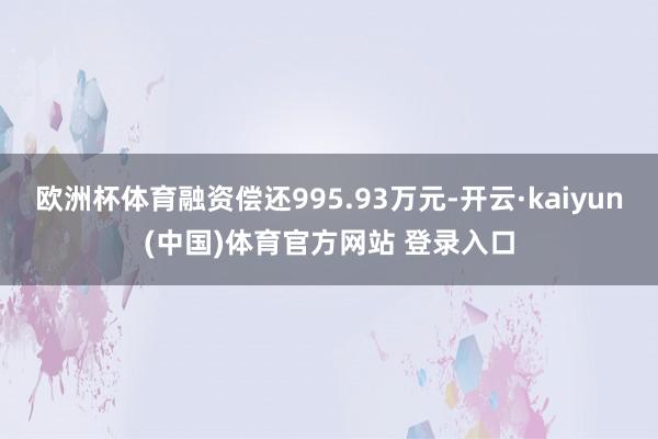 欧洲杯体育融资偿还995.93万元-开云·kaiyun(中国)体育官方网站 登录入口