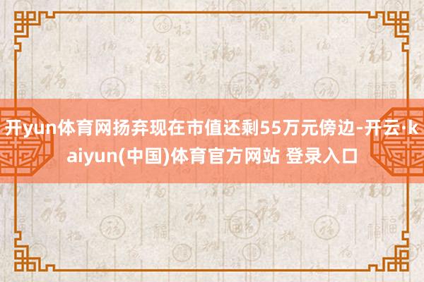 开yun体育网扬弃现在市值还剩55万元傍边-开云·kaiyun(中国)体育官方网站 登录入口