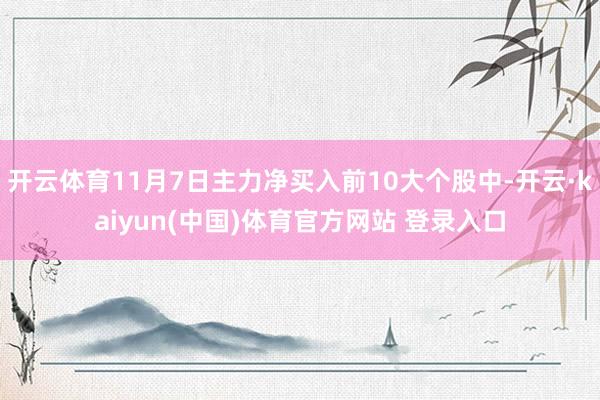 开云体育11月7日主力净买入前10大个股中-开云·kaiyun(中国)体育官方网站 登录入口