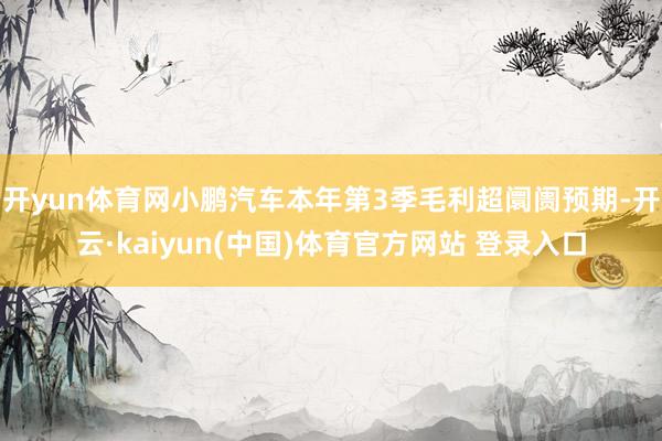 开yun体育网小鹏汽车本年第3季毛利超阛阓预期-开云·kaiyun(中国)体育官方网站 登录入口