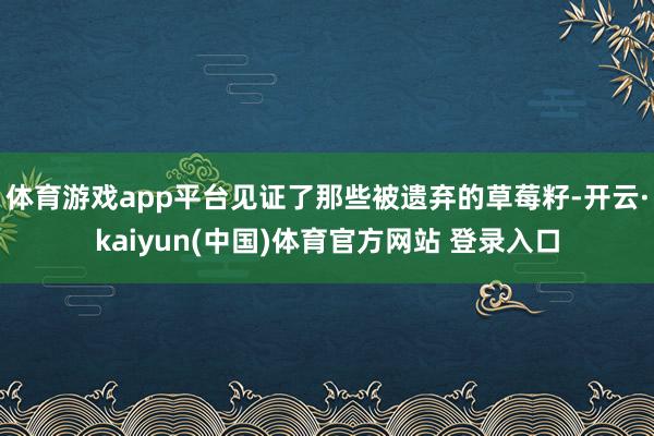 体育游戏app平台见证了那些被遗弃的草莓籽-开云·kaiyun(中国)体育官方网站 登录入口