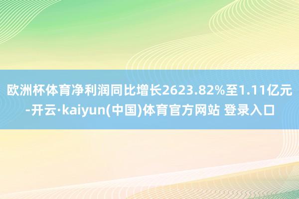 欧洲杯体育净利润同比增长2623.82%至1.11亿元-开云·kaiyun(中国)体育官方网站 登录入口