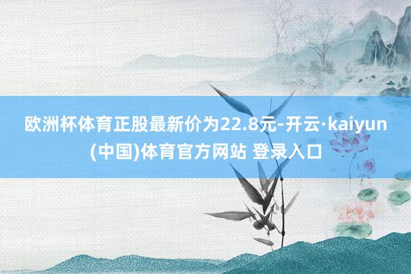 欧洲杯体育正股最新价为22.8元-开云·kaiyun(中国)体育官方网站 登录入口