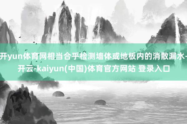 开yun体育网相当合乎检测墙体或地板内的消散漏水-开云·kaiyun(中国)体育官方网站 登录入口